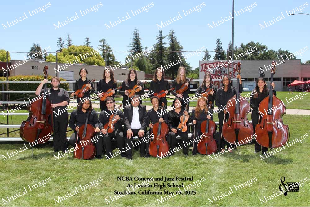 Musical Images